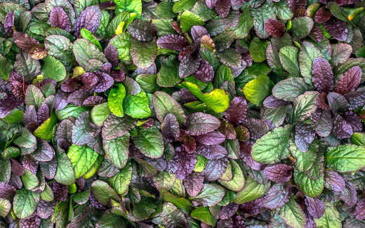 1277257 (a): :2560x1600